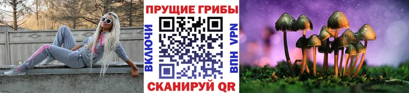 Галлюциногенные грибы Magic Shrooms  закладки  Адыгейск 